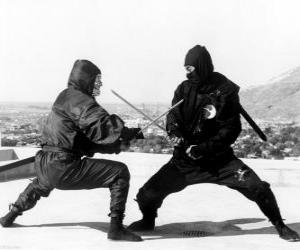 yapboz İki ninjas mücadele